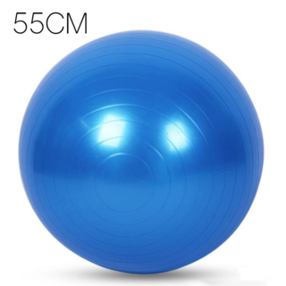 バランスボール 55cm ブルー ヨガ ダイエット 腰痛予防(トレーニング用品)