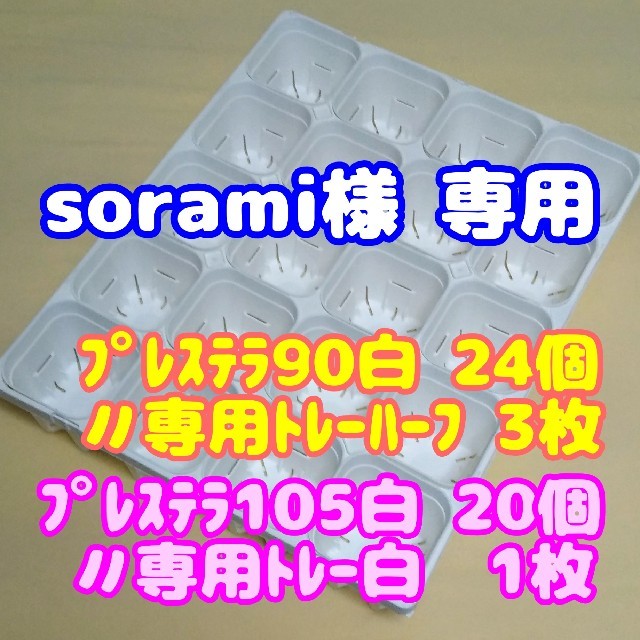 【sorami様専用】【スリット鉢】プレステラ105白20個＋専用トレー白1枚他 ハンドメイドのフラワー/ガーデン(プランター)の商品写真