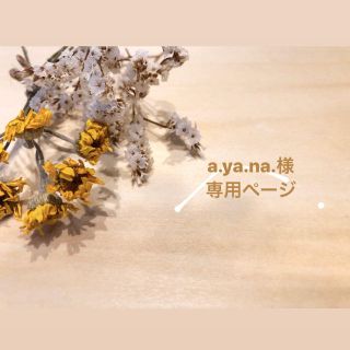 ✴︎a.ya.na.様　専用ページ✴︎(オーダーメイド)