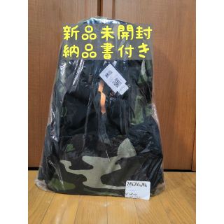 アークテリクス(ARC'TERYX)のARC'TERYX × BEAMS 別注ARRO 22 19SS アークテリスク(バッグパック/リュック)