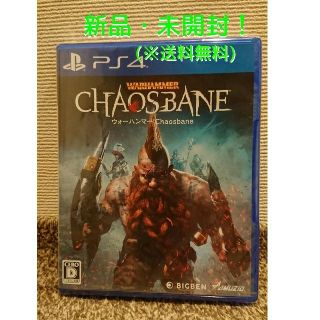 プレイステーション4(PlayStation4)のウォーハンマー：Chaosbane PS4(家庭用ゲームソフト)