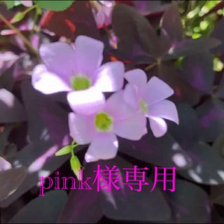 pink♡様専用(その他)