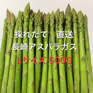 長崎産アスパラガス　Lサイズ 500G(野菜)