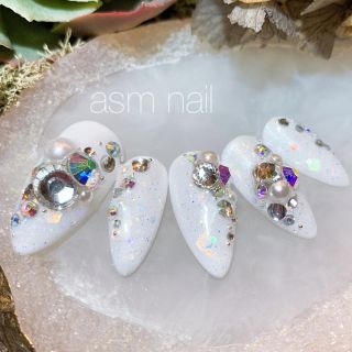 ネイルチップ ジェルネイル asmnail