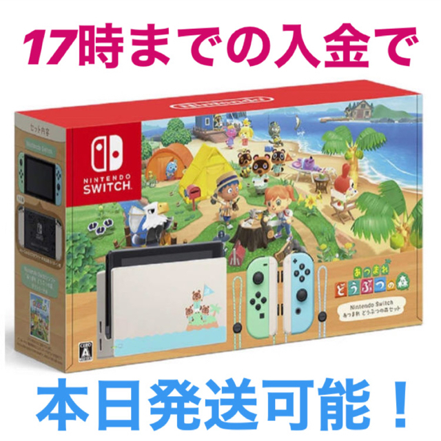 Nintendo Switch - 新品未開封　任天堂Switch  あつまれどうぶつの森セット