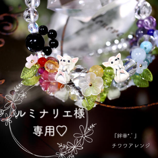 ルミナリエ様 専用ページ♥️お待たせ致しました(⋆ᴗ͈ˬᴗ͈