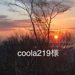 coola219様専用(美容液)