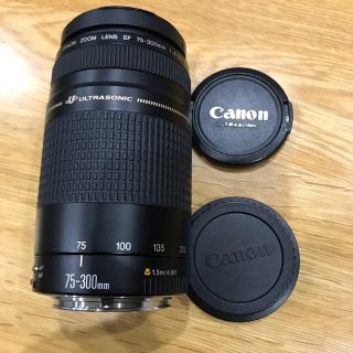 キヤノン(Canon)の【Canon】EF 75-300ズームレンズ美品(レンズ(ズーム))