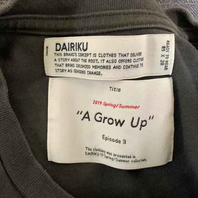 Dairiku 19 ss Tシャツ