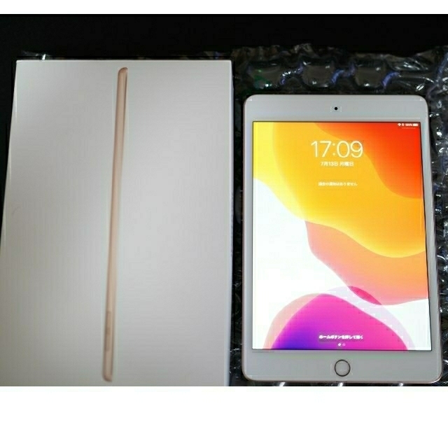 Apple - iPad mini 5 Wi-Fi + Cellular 256GB 第5世代