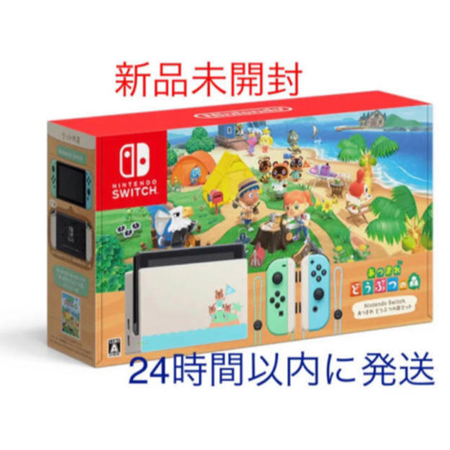 ニンテンドースイッチ　あつまれどうぶつの森セット