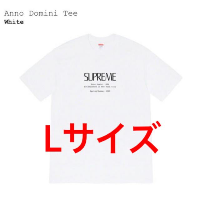 【新品未使用】supreme 20ss anno domini tee 白 L