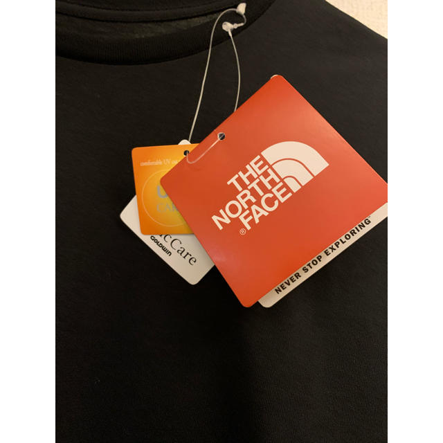 THE NORTH FACE(ザノースフェイス)のTHE NORTH FACE Tシャツ メンズのトップス(Tシャツ/カットソー(半袖/袖なし))の商品写真