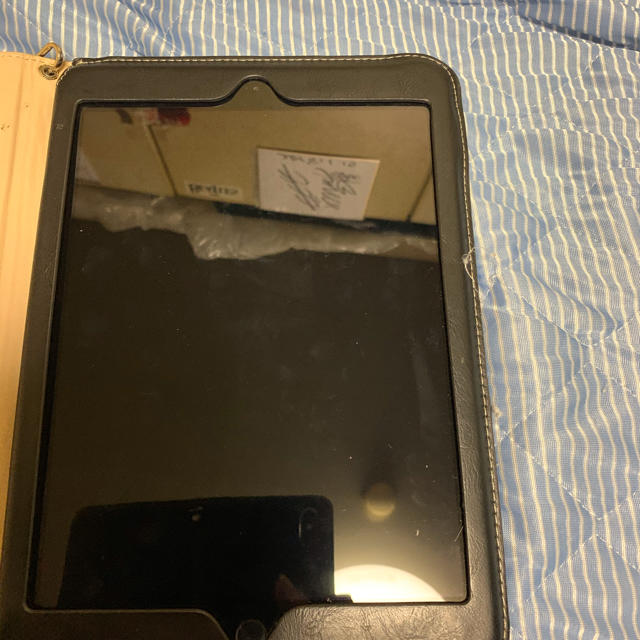 iPad品