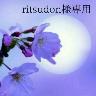 アナイ(ANAYI)のritsudon様専用です(ノーカラージャケット)