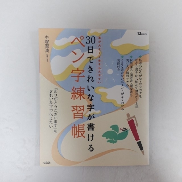 宝島社(タカラジマシャ)の３０日できれいな字が書けるペン字練習帳 エンタメ/ホビーの本(住まい/暮らし/子育て)の商品写真