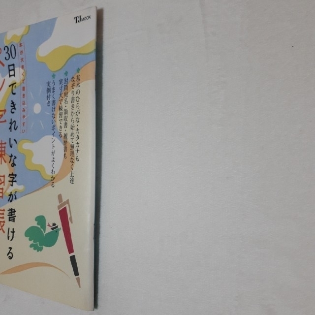 宝島社(タカラジマシャ)の３０日できれいな字が書けるペン字練習帳 エンタメ/ホビーの本(住まい/暮らし/子育て)の商品写真