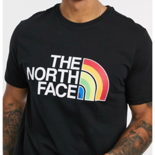 ザノースフェイス(THE NORTH FACE)のThe North Face Rainbow t-shirt(Tシャツ/カットソー(半袖/袖なし))