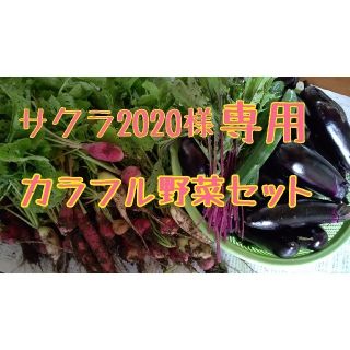 サクラ2020様専用 カラフル野菜セット(野菜)