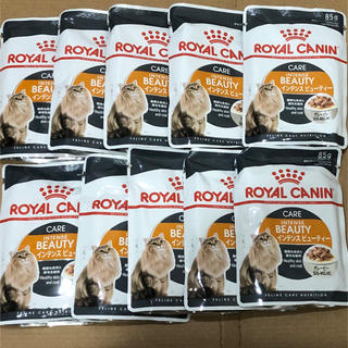 ロイヤルカナン(ROYAL CANIN)のロイヤルカナン 成猫用ウェットフード10袋 インテンスビューティ グレービー(ペットフード)