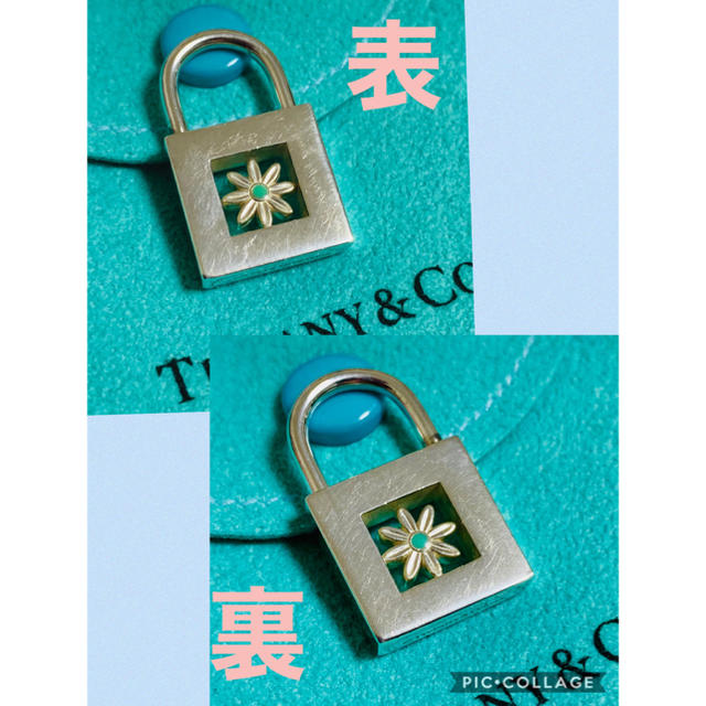 Tiffany & Co.(ティファニー)のTiffany ティファニー　シルバー　デイジー　ロックチャーム レディースのアクセサリー(チャーム)の商品写真