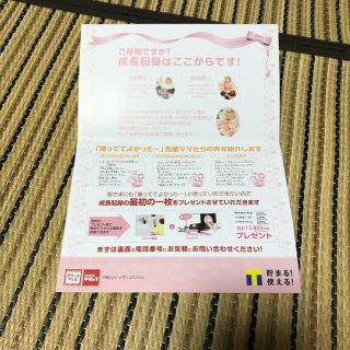 スタジオマリオ　出産祝い　無料(その他)