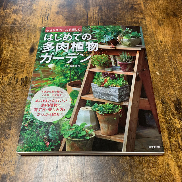 多肉　多肉植物　はじめての多肉植物ガ－デン 小さなスペ－スで楽しむ　 エンタメ/ホビーの本(趣味/スポーツ/実用)の商品写真