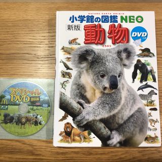 小学館の図鑑neo 動物(絵本/児童書)