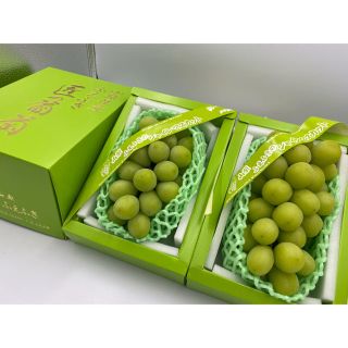 山梨県産【匠の葡萄】シャインマスカット🍇2箱(フルーツ)