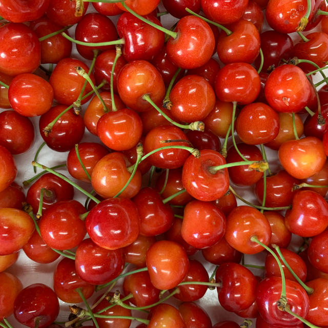 山形産 紅秀峰 1kg 3Lサイズ 2kg karatebih.ba