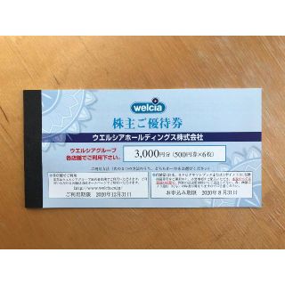 ウエルシア　株主優待券　3000円分(ショッピング)