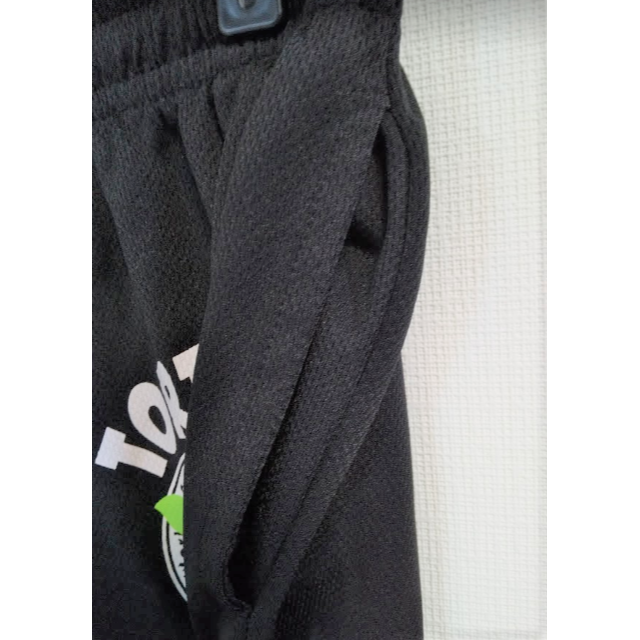 green×black　タートルプリントハーフパンツ　XL メンズのパンツ(その他)の商品写真