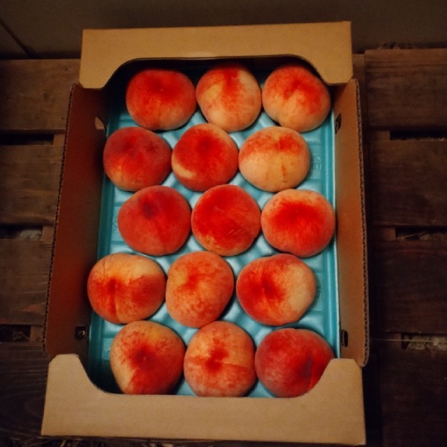 桃 果物 山梨県 5キロ 1ケースのみ 食品/飲料/酒の食品(フルーツ)の商品写真