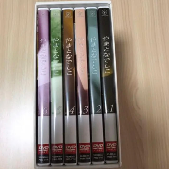 筧利夫やまとなでしこ　DVD BOX ディスク美品　早い者勝ち