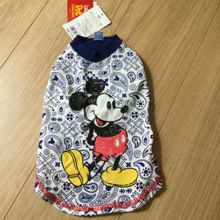 ディズニー(Disney)のペットパラダイス(犬)