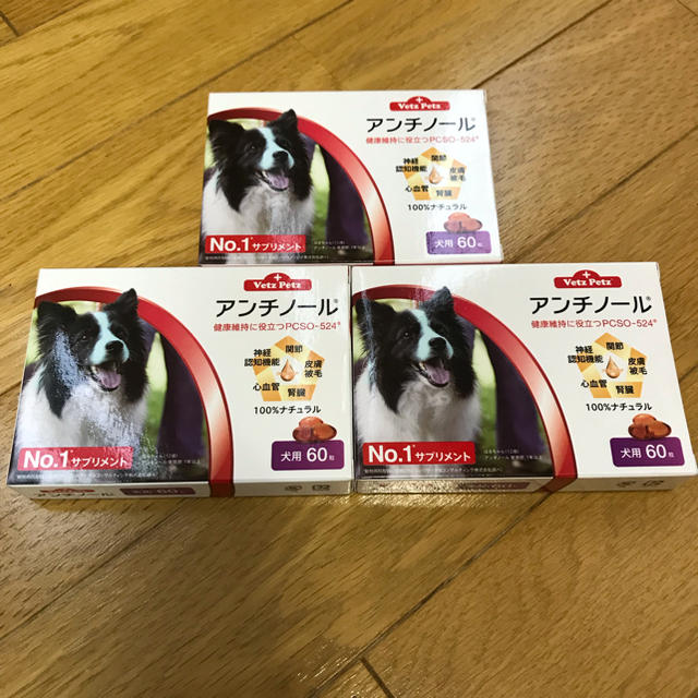 アンチノール 犬用60カプセル入り 3箱新品 www.krzysztofbialy.com