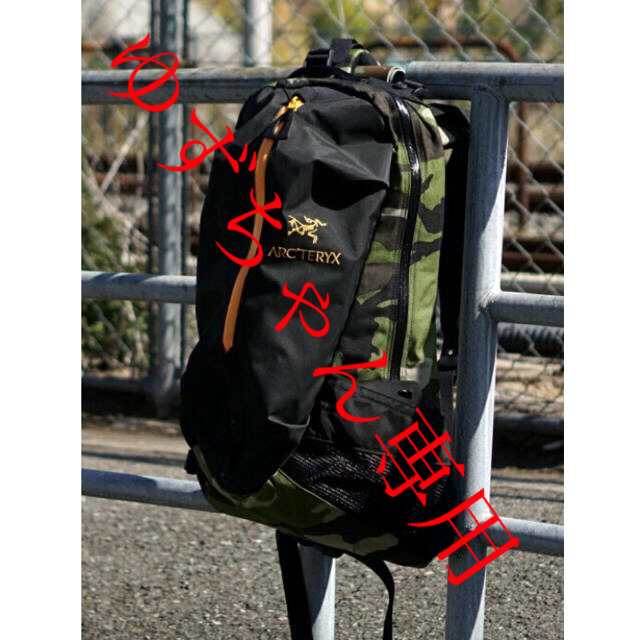 ARC'TERYX アークテリクス BEAMS ARRO アロー 22 19SS