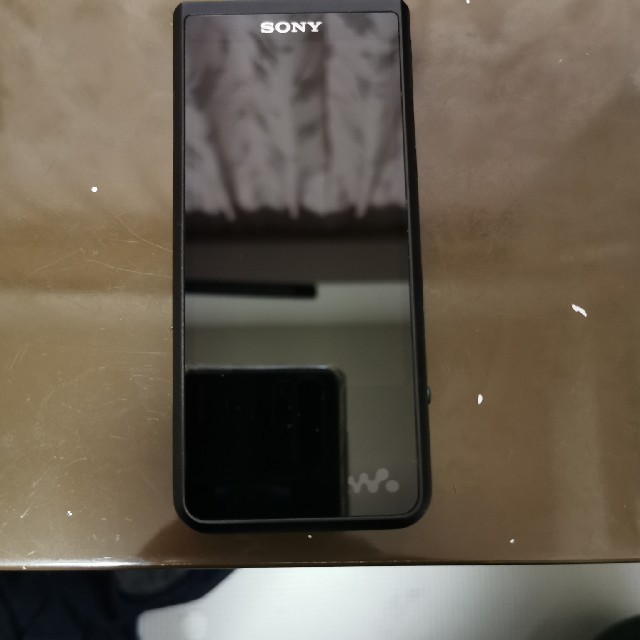 SONY NW-ZX507