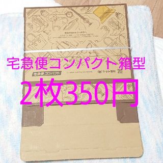 宅急便コンパクト箱型【２個】(ラッピング/包装)