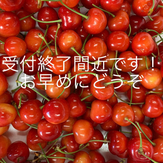 紅秀峰1kg ✖️2  合計2kg  訳あり品