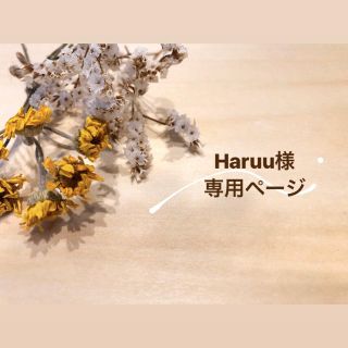 ✴︎Haruu様　専用ページ✴︎(その他)