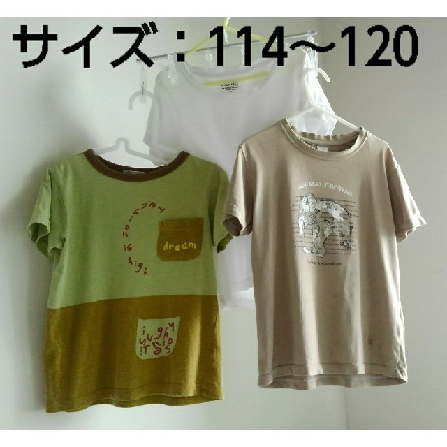 CYRILLUS(シリリュス)の(古着)Tシャツ3枚セット(サイズ：114、120) キッズ/ベビー/マタニティのキッズ服男の子用(90cm~)(Tシャツ/カットソー)の商品写真