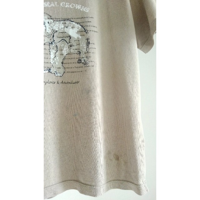 CYRILLUS(シリリュス)の(古着)Tシャツ3枚セット(サイズ：114、120) キッズ/ベビー/マタニティのキッズ服男の子用(90cm~)(Tシャツ/カットソー)の商品写真