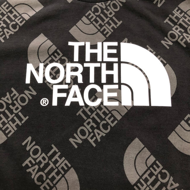 THE NORTH FACE(ザノースフェイス)の【海外限定】新作　ノースフェイス　キッズ　ハーフドームプリント　Tシャツ　170 メンズのトップス(Tシャツ/カットソー(半袖/袖なし))の商品写真