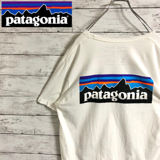 patagonia(パタゴニア)の【超人気】パタゴニア☆ビッグロゴ　バックロゴ　ホワイト　半袖Tシャツ　メキシコ製 メンズのトップス(Tシャツ/カットソー(半袖/袖なし))の商品写真