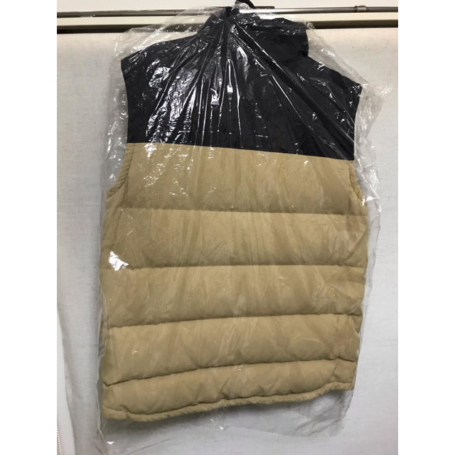 patagonia(パタゴニア)のPatagonia Bivy Down Vest メンズのジャケット/アウター(ダウンベスト)の商品写真