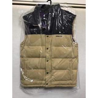 パタゴニア(patagonia)のPatagonia Bivy Down Vest(ダウンベスト)