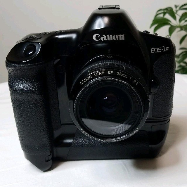 Canon EOS1n hs