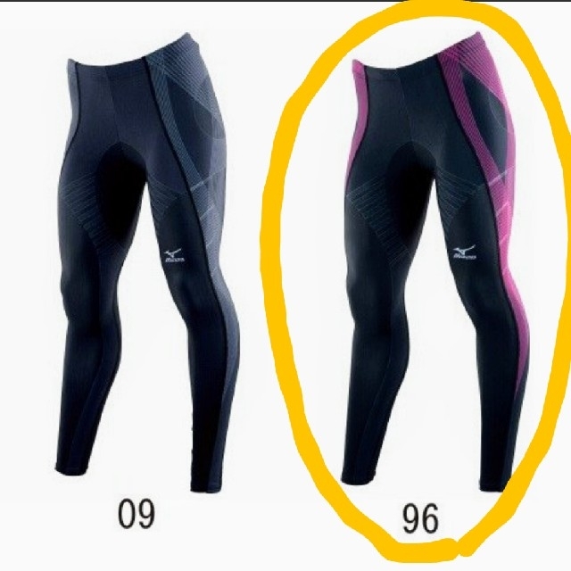 MIZUNO - ミズノ バイオギアタイツ ロング レディース Lサイズの通販