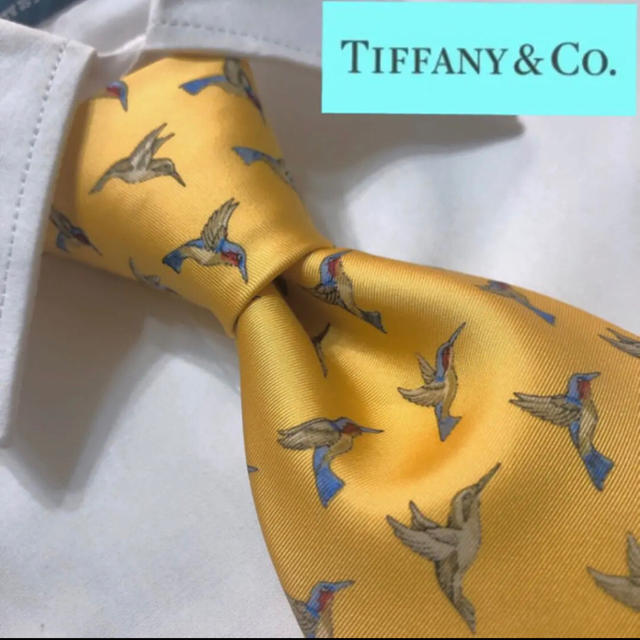 Tiffany & Co.(ティファニー)の【極美品！超人気ブランド！】TIFFANY&Co.最高級シルクネクタイ！ メンズのファッション小物(ネクタイ)の商品写真